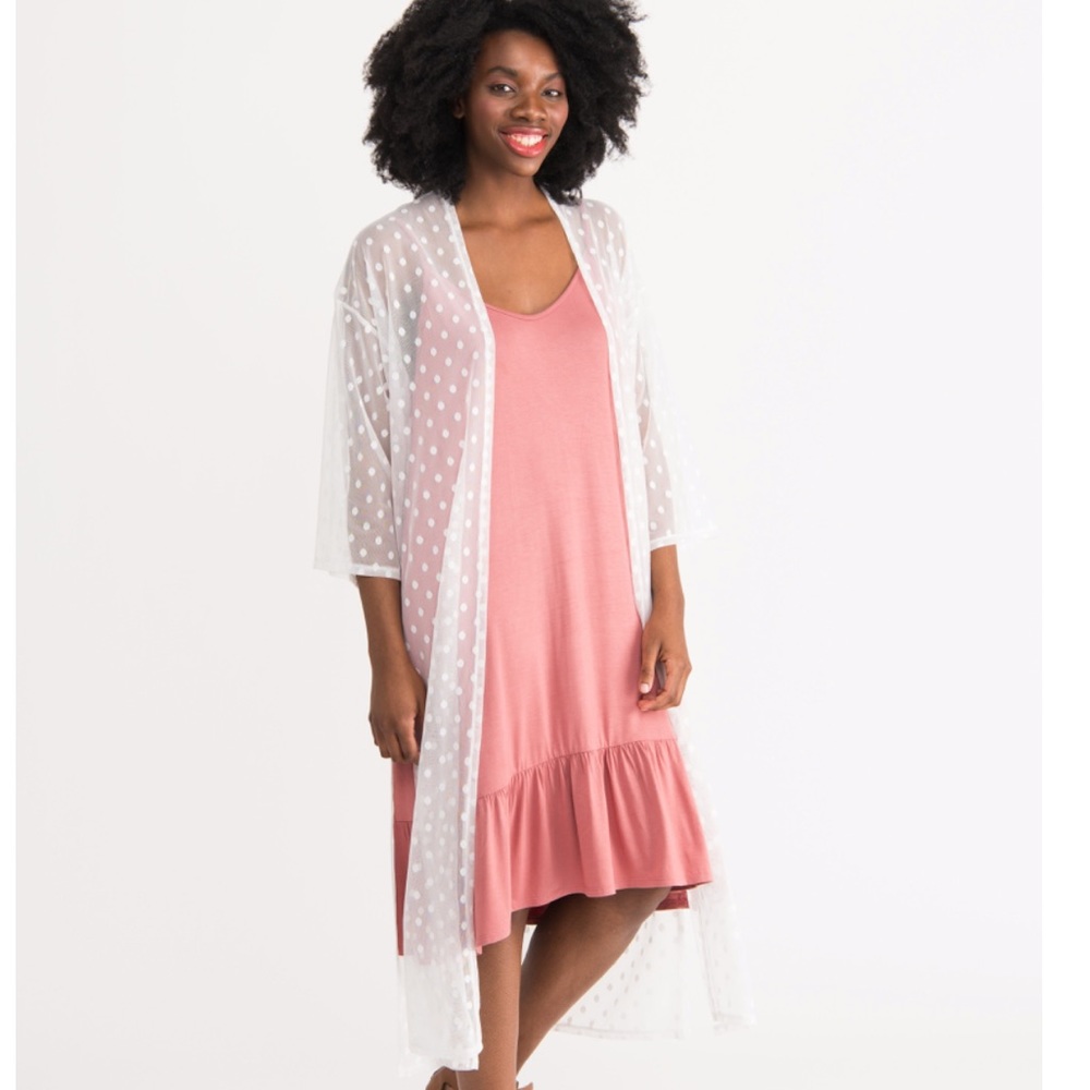Mesh Duster